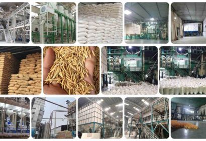 Top Basmati Rice Mills in Punjab: Quality & Global Export